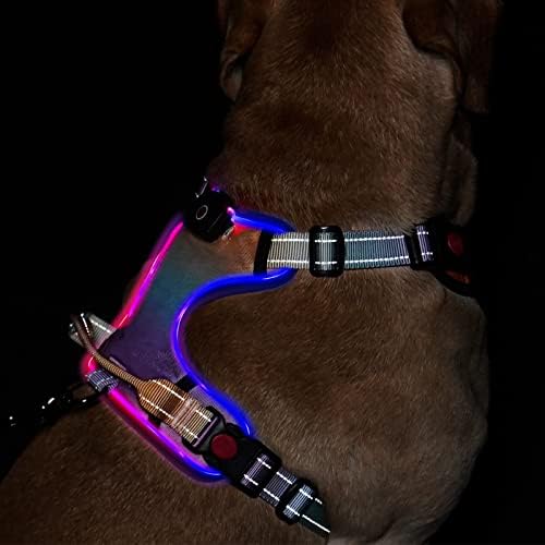 Шлейка за кучета с led подсветка: Отразяваща Регулируема жилетка с акумулаторна шлейкой за домашни любимци без газта, удобна дръжка за Управление за кучета малки Средни и големи по размер X-Large (многоцветен, М)