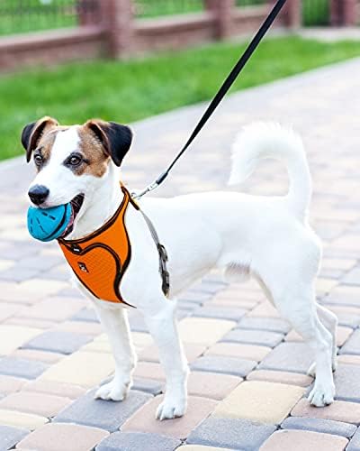 Комплект от колан за кучета и каишка - Шлейка за жилетка за кучета с быстросъемной катарама, защищающая от потягивания - Светоотражающая шлейка за кученца с регулируема каишка Лека Дишаща за разходки с малки средни