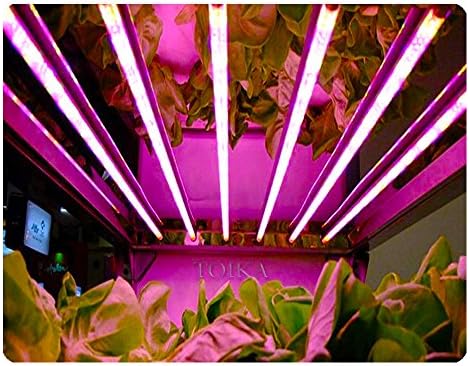 Toika【25 Pack】 Т8 4-подножието led лампи за отглеждане, Вградена тръба 4 фута 20 W (еквивалент на 40 Вата), led лампа за отглеждане на растения, вграден в лампата за стайни растения, зеленчуци и цветя, градина, хидропоника