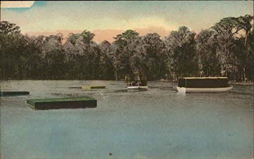 Лодка с прозрачно дъно и на Плувка за Къпане Вакулла Спрингс, Флорида Флорида Оригиналната Антични Картичка
